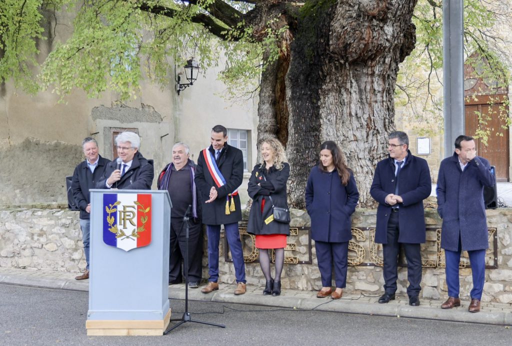 la finale du plus bel arbre