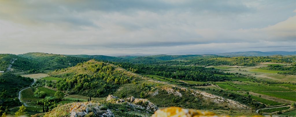 La Famille Fabre des vignerons  