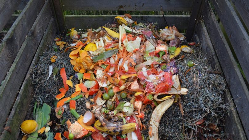 Le bac à compost obligatoire