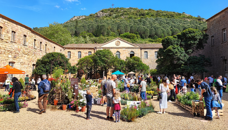 Abbaye de Fontfroide DR