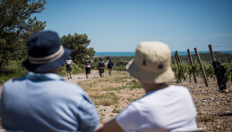 De nombreux itinéraires proposent aux touristes et randonneurs de découvrir le massif à pied ou à vélo © A. Lescombes / AOC La Clape.